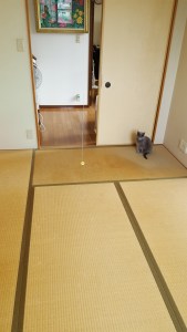 old tatami