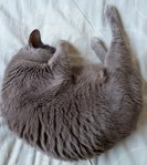 %e4%b8%b8%e3%81%be%e3%82%8a%e3%81%bf%e3%81%8b%e3%82%93%e3%81%a1%e3%82%83%e3%82%932