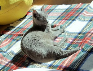 %e3%81%b2%e3%81%ab%e3%82%83%e3%81%9f%e3%81%ab%e3%81%86%e3%81%a3%e3%81%a8%e3%82%8a