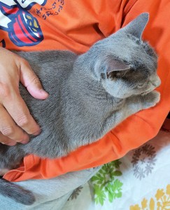 %e5%86%ac%e6%8a%b1%e3%81%a3%e3%81%93