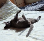 %e8%a6%8b%e3%81%a1%e3%82%83%e3%83%80%e3%83%a1%ef%bd%9e