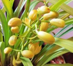 %e4%ba%8c%e7%95%aa%e7%9b%ae%e5%92%b2%e3%81%84%e3%81%9f