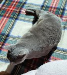 %e3%81%b2%e3%81%ab%e3%82%83%e3%81%9f%e3%81%88%e3%81%b3%e3%81%a1%e3%82%83%e3%82%93